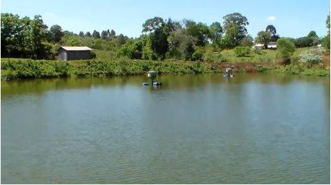 Plant water treatment associated to polyculture ponds - Chapeco - Santa Catarina - Brazil