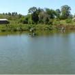 Plant water treatment associated to polyculture ponds - Chapeco - Santa Catarina - Brazil