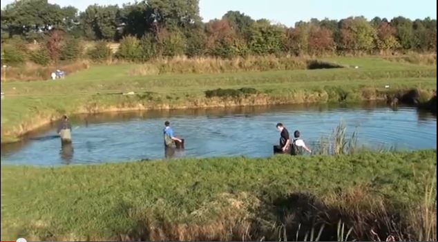 Apport fractionné de larves pour la production de juvéniles de Sandres - Lycée de Château Gontier - France