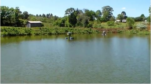 Plant water treatment associated to polyculture ponds - Chapeco - Santa Catarina - Brazil